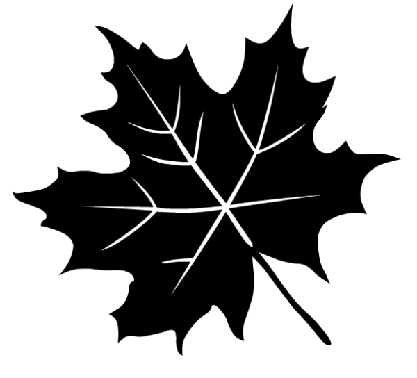 Кленовый лист вектор