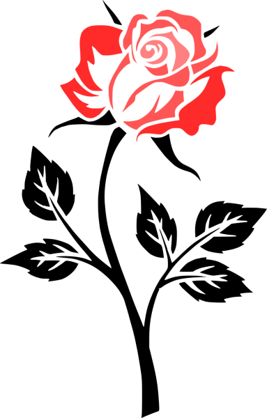 Роза Векторная Графика