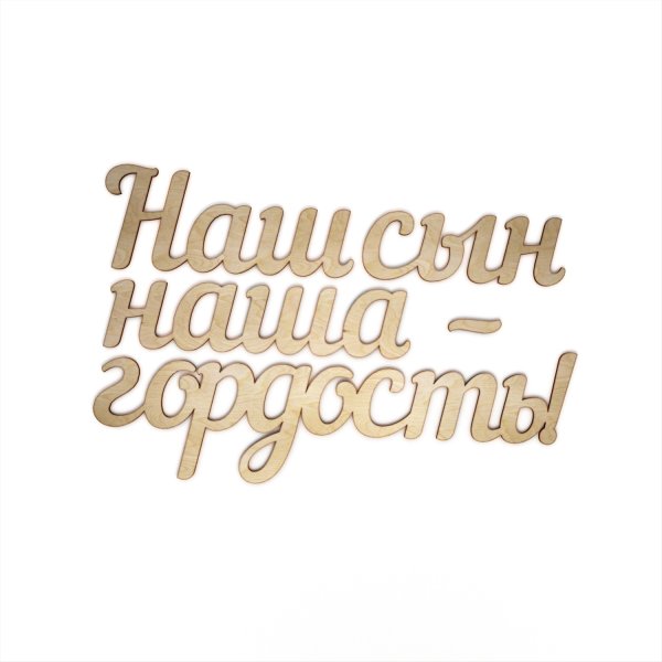 Наш сын наша гордость