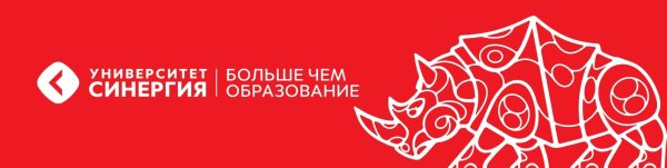 Университет СИНЕРГИЯ logo
