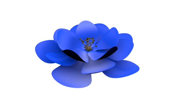 Синие цветы на белом фоне