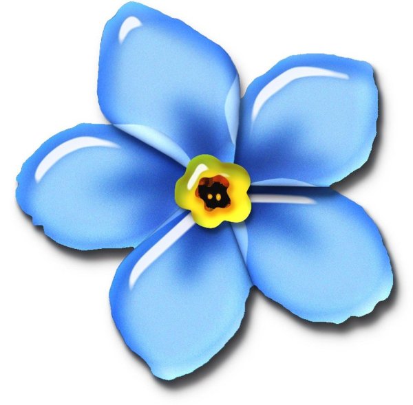 Цветочки на белом фоне