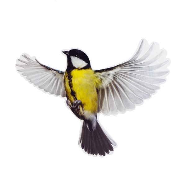 Синички на белом фоне в полете