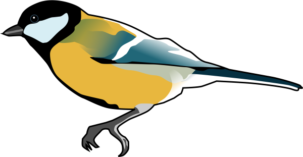 Синица Векторная