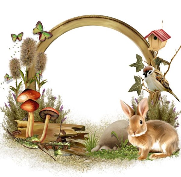 Рамка с кроликом