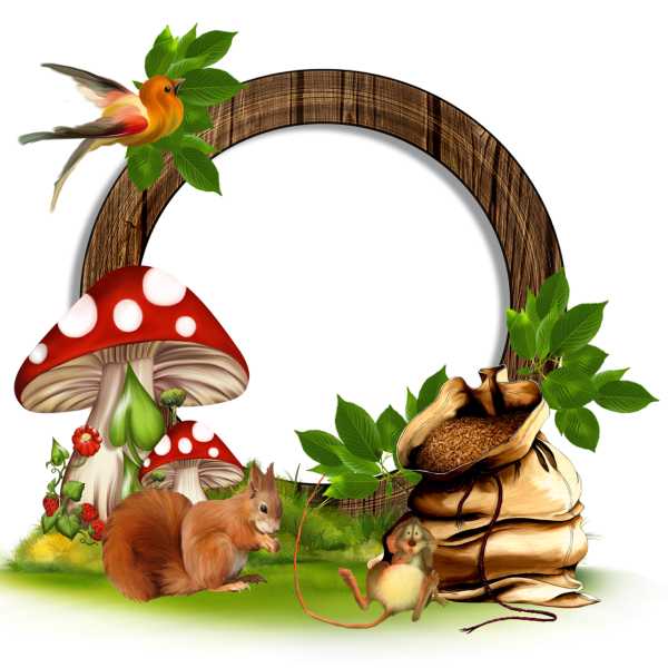 Рамка грибы