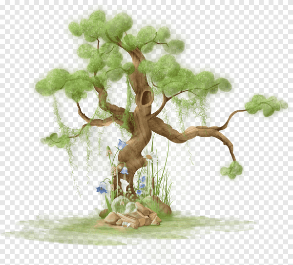 Сказочное дерево на белом фоне