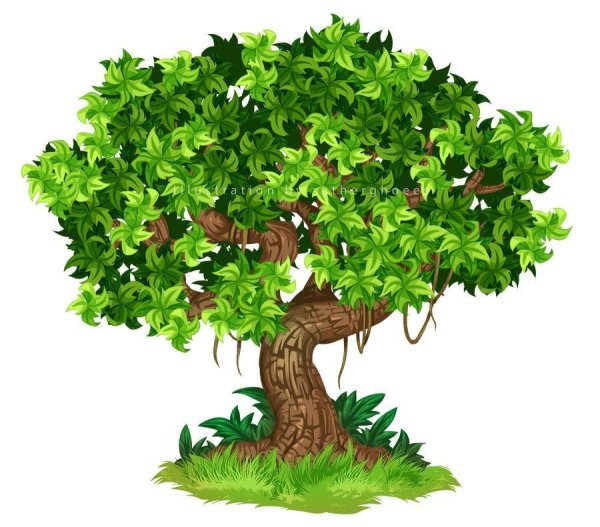 Нарисованное дерево на белом фоне