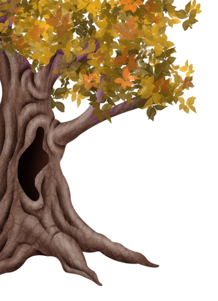 Дуб дерево дупло