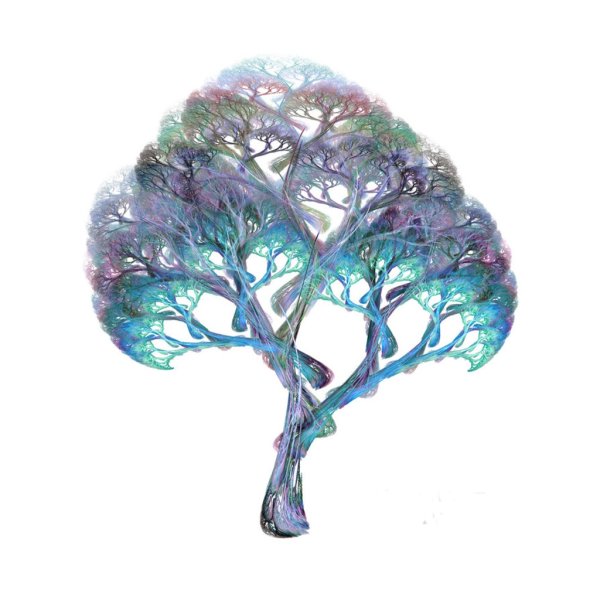 Необычные деревья