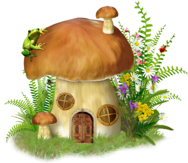 Дом гриб