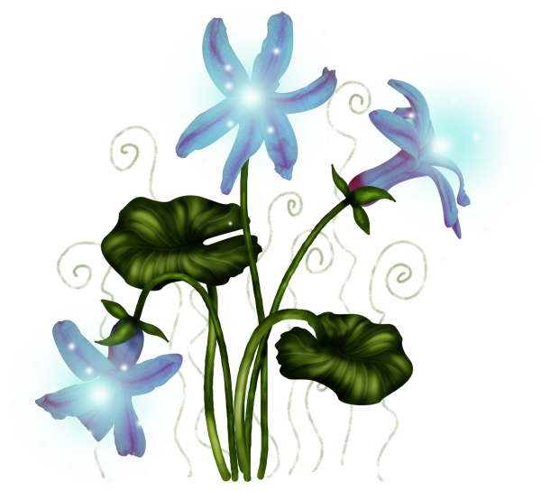 Волшебный цветок на прозрачном фоне