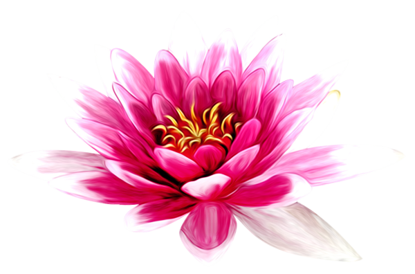 Магические цветы