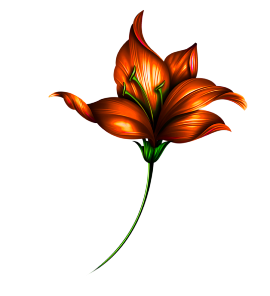 Сказочный цветок на белом фоне