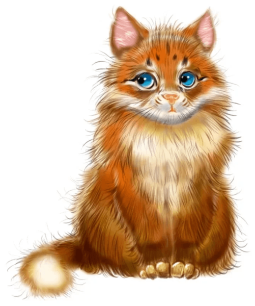 Кот из сказки