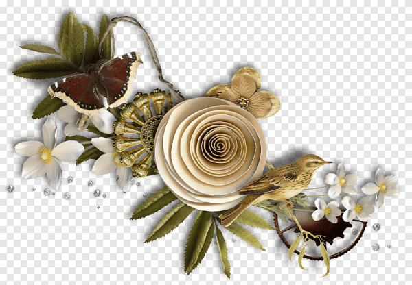 Цветочные кластеры на прозрачном фоне