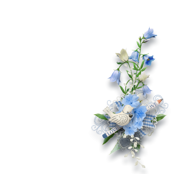 Голубые цветы