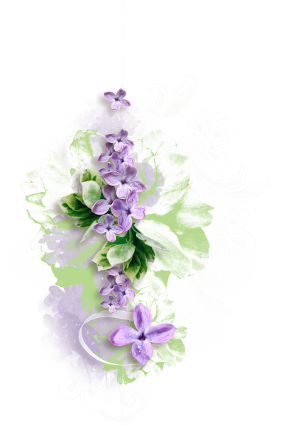 Цветы сиреневые элементы