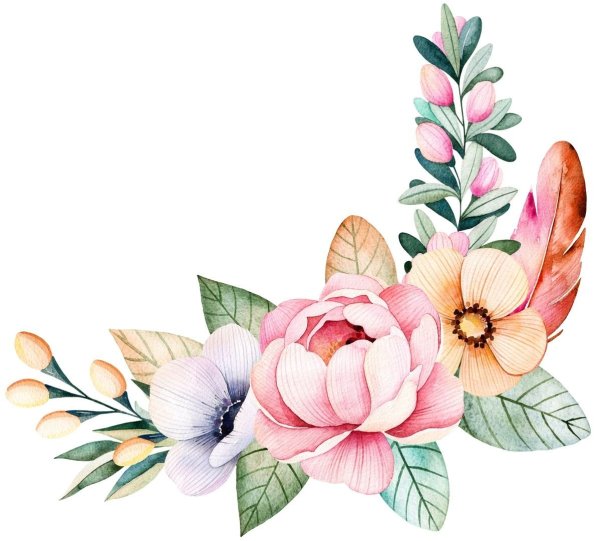 Цветы акварель на прозрачном фоне