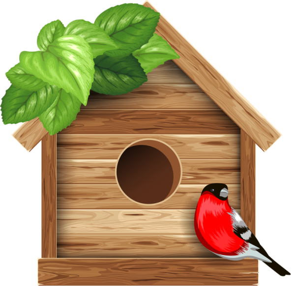 Птичка с домиком вектор