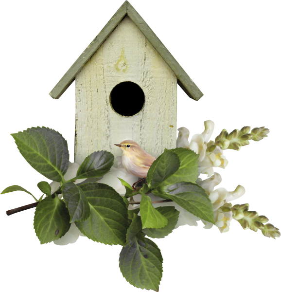 Скворечник на прозрачном фоне