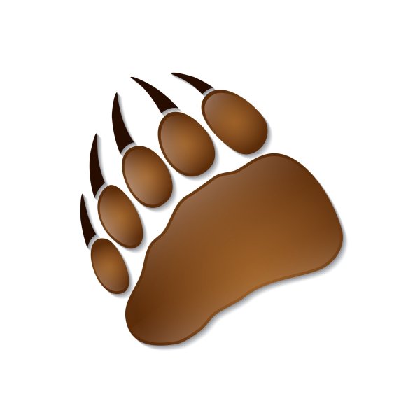 Следы медведя на прозрачном фоне