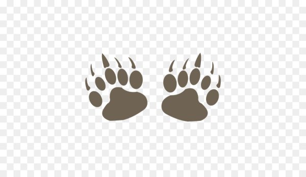 Следы медведя на белом фоне