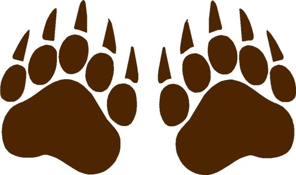 Следы медведя для детей