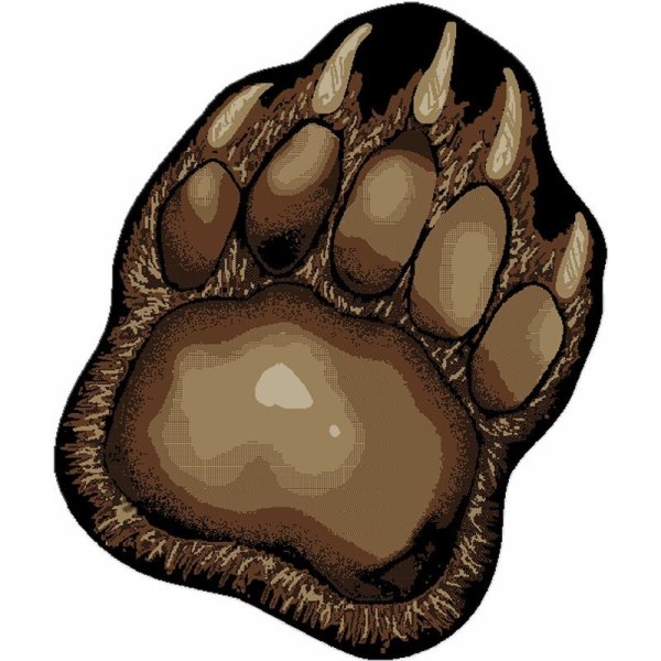 Отпечаток медвежьей лапы