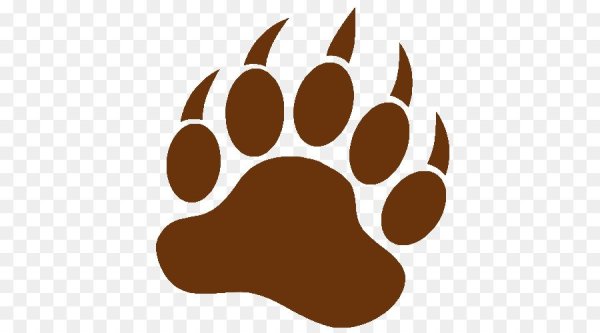 Следы медведя