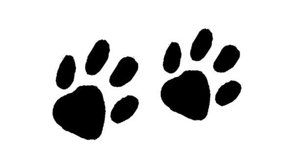 След животного