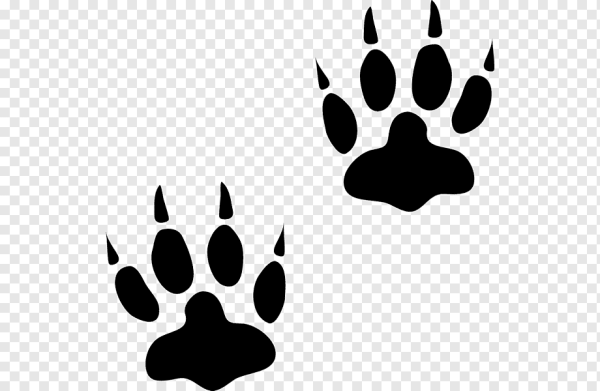 Следы разных животных