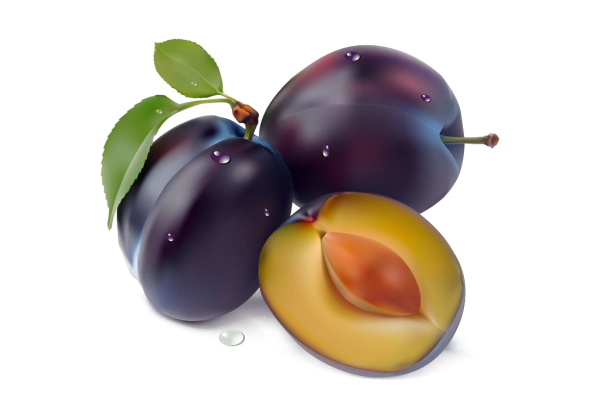 Слива на прозрачном фоне