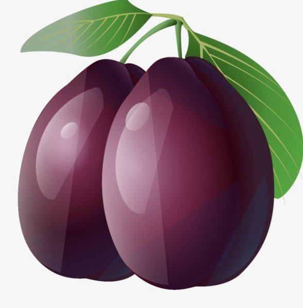 Слива вектор