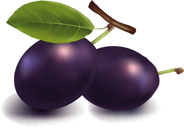 Слива мультяшный