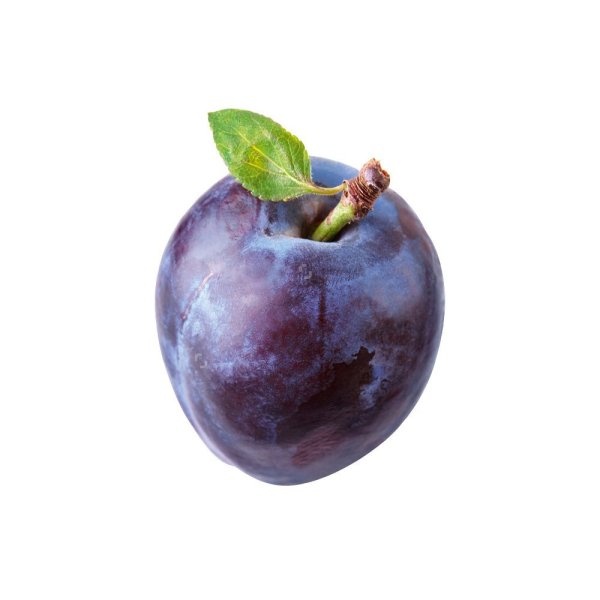 Слива на белом фоне