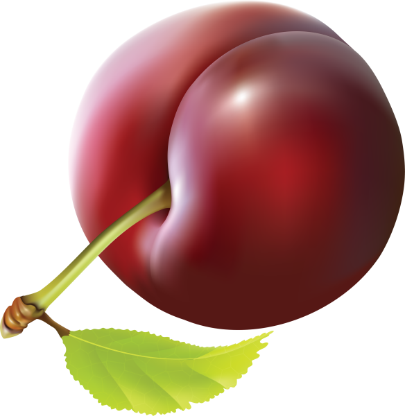 Сливы без фона