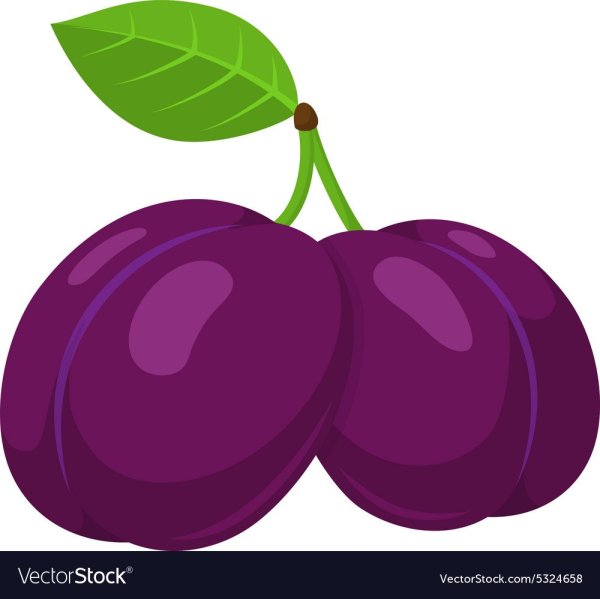 Слива мульт