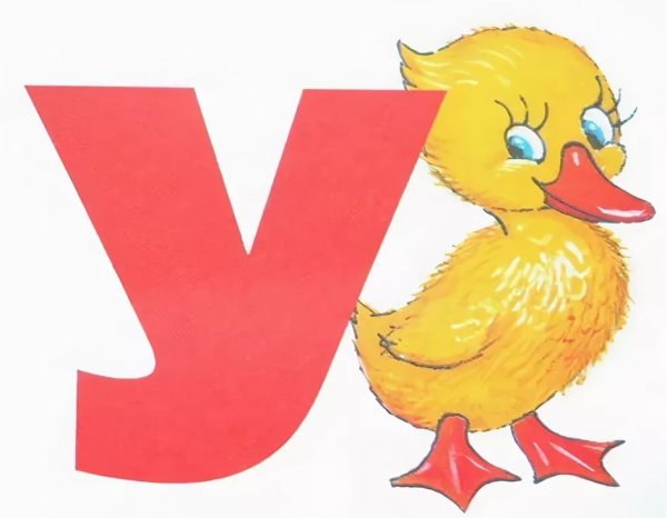 Буква у утка