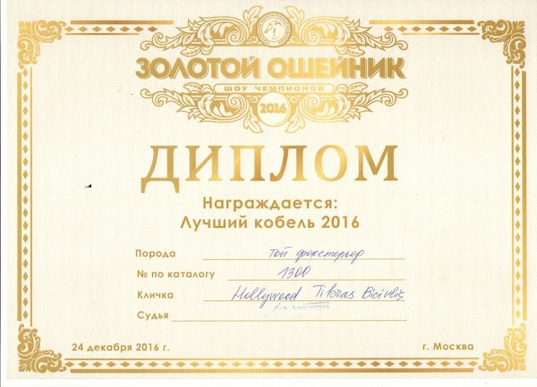 Надпись диплом