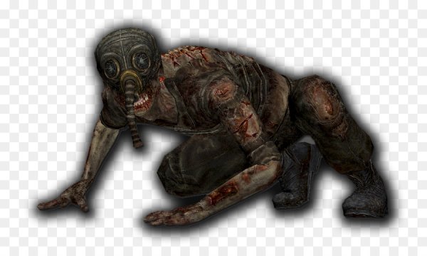 Сталкер Зов Припяти снорки