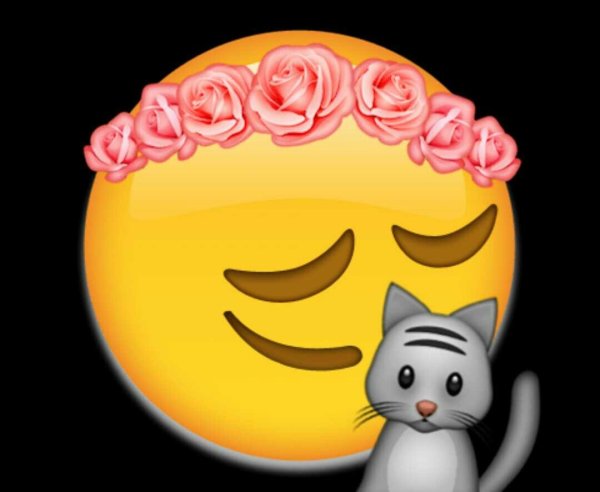 Смайлик кошка