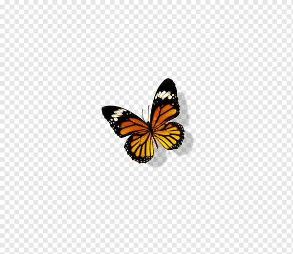 Смайлик бабочка