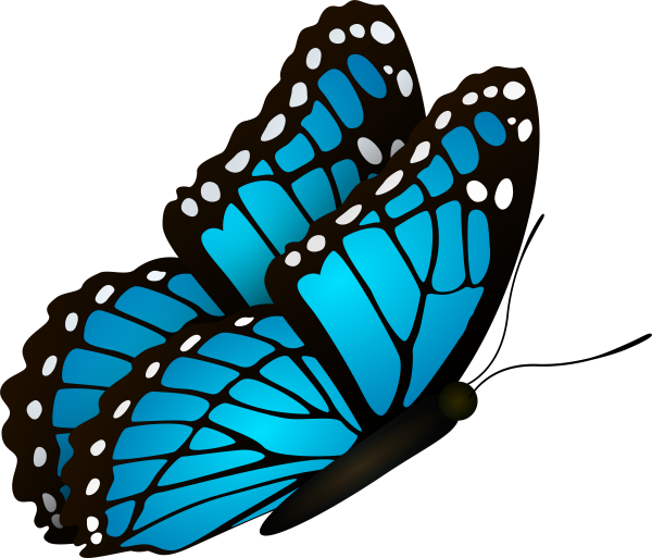 Бабочка боком