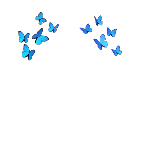 Бабочки над головой