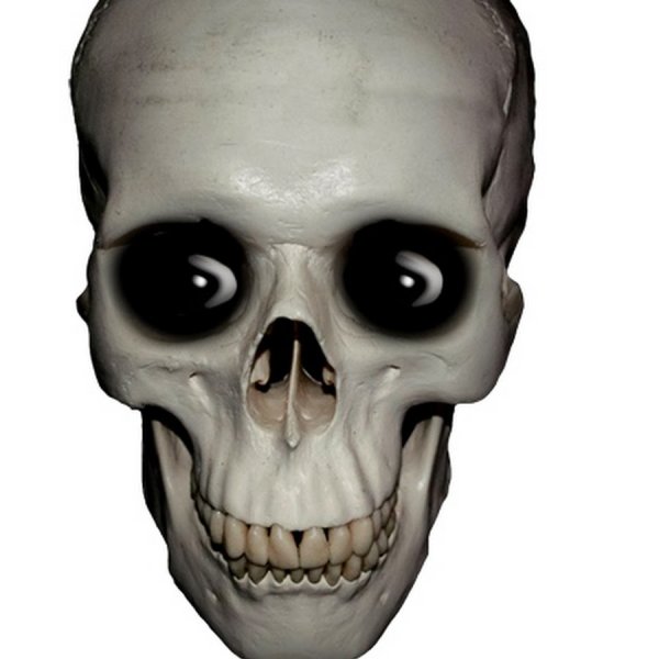 Skull Emoji meme