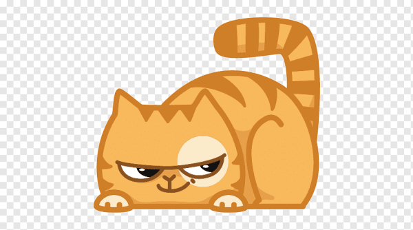 Кот из ВК