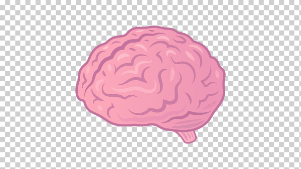 Мозги мультяшные