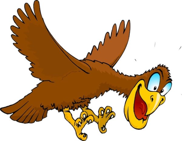 Веселые птички гиф