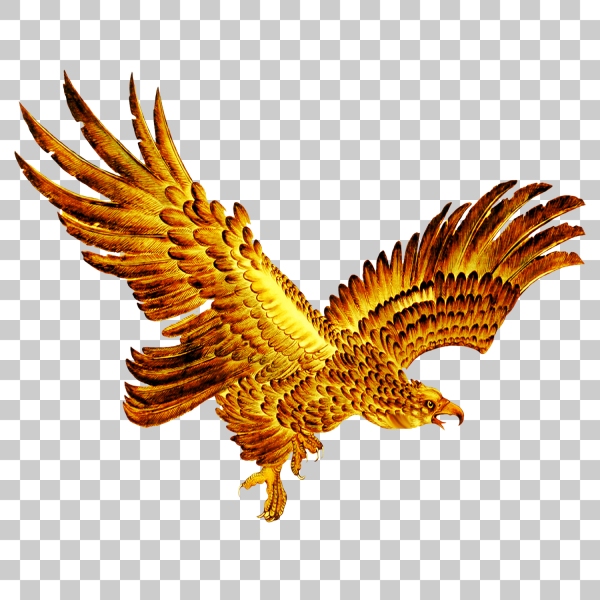 Золотой Беркут